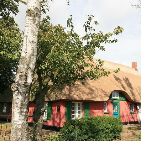 Unterm Rohrdach Lägenhet Wustrow  Exteriör bild